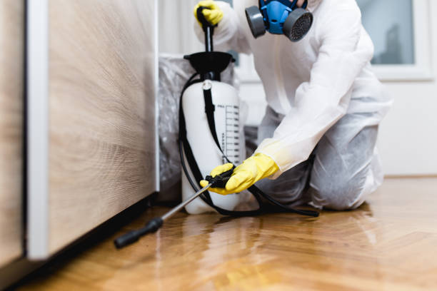 Wasp Removal Services in Hahira, GA