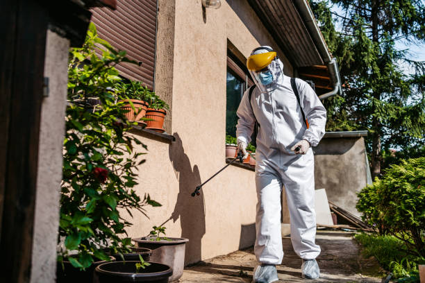 Best Affordable Pest Control Services  in Hahira, GA