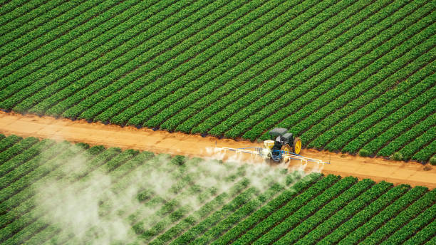 Best Best Pest Control Companies  in Hahira, GA