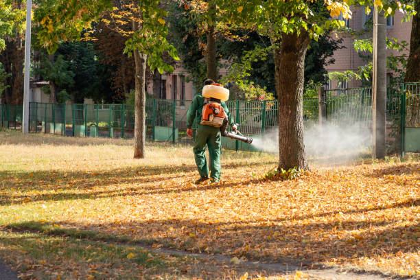 Best Bed Bug Extermination  in Hahira, GA