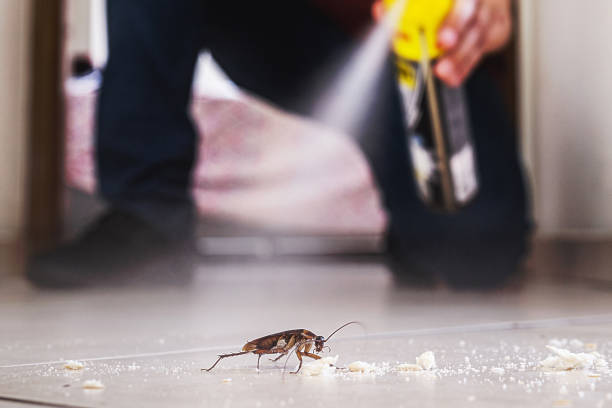 Wildlife Control Services in Hahira, GA