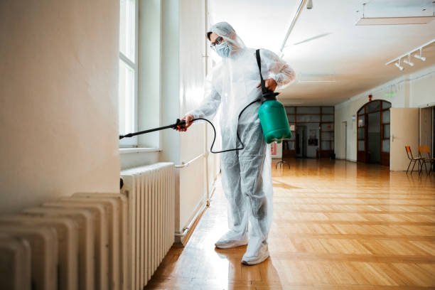 Trusted Hahira, GA Pest Control Experts