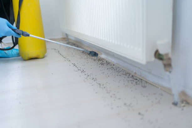 Best Pest Inspection Near Me  in Hahira, GA