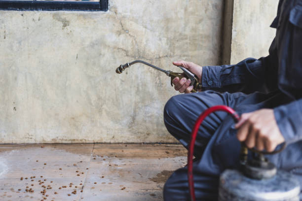 Best Wasp Removal Services  in Hahira, GA