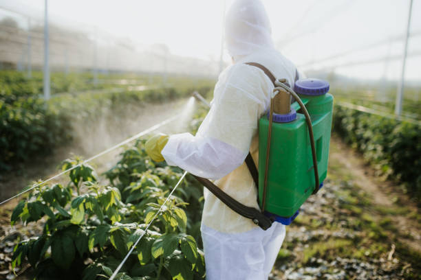 Best Pest Control Near Me  in Hahira, GA